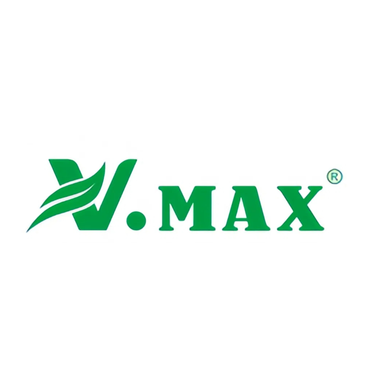 V Maxx