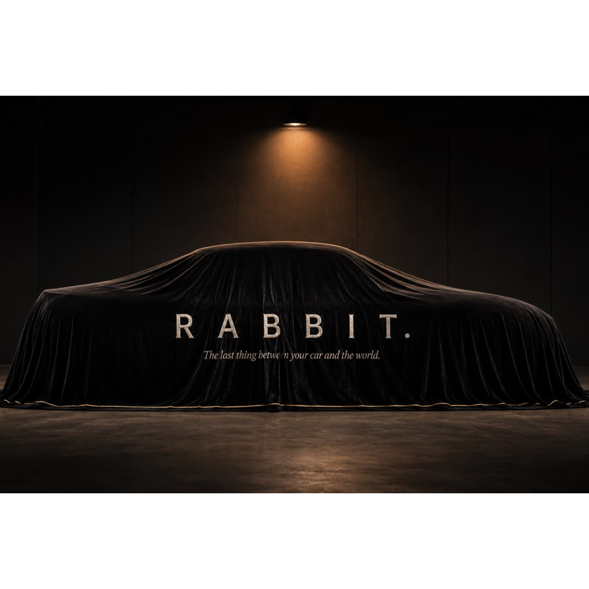 rabbit