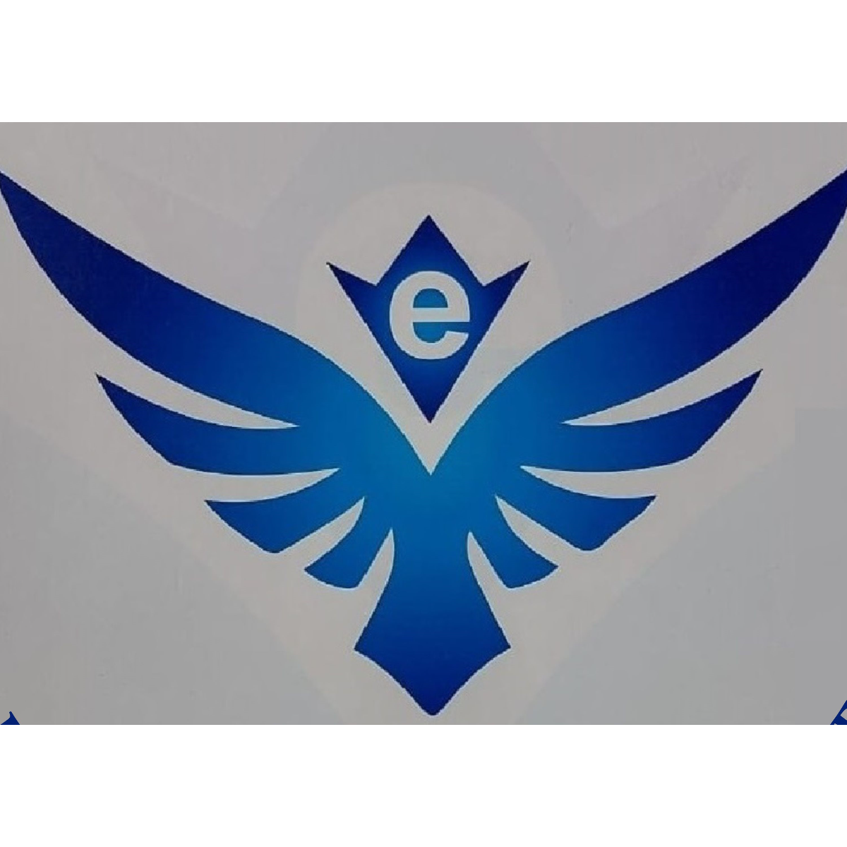 EAGLE DELIVERY & TRANSPORT W.L.L
