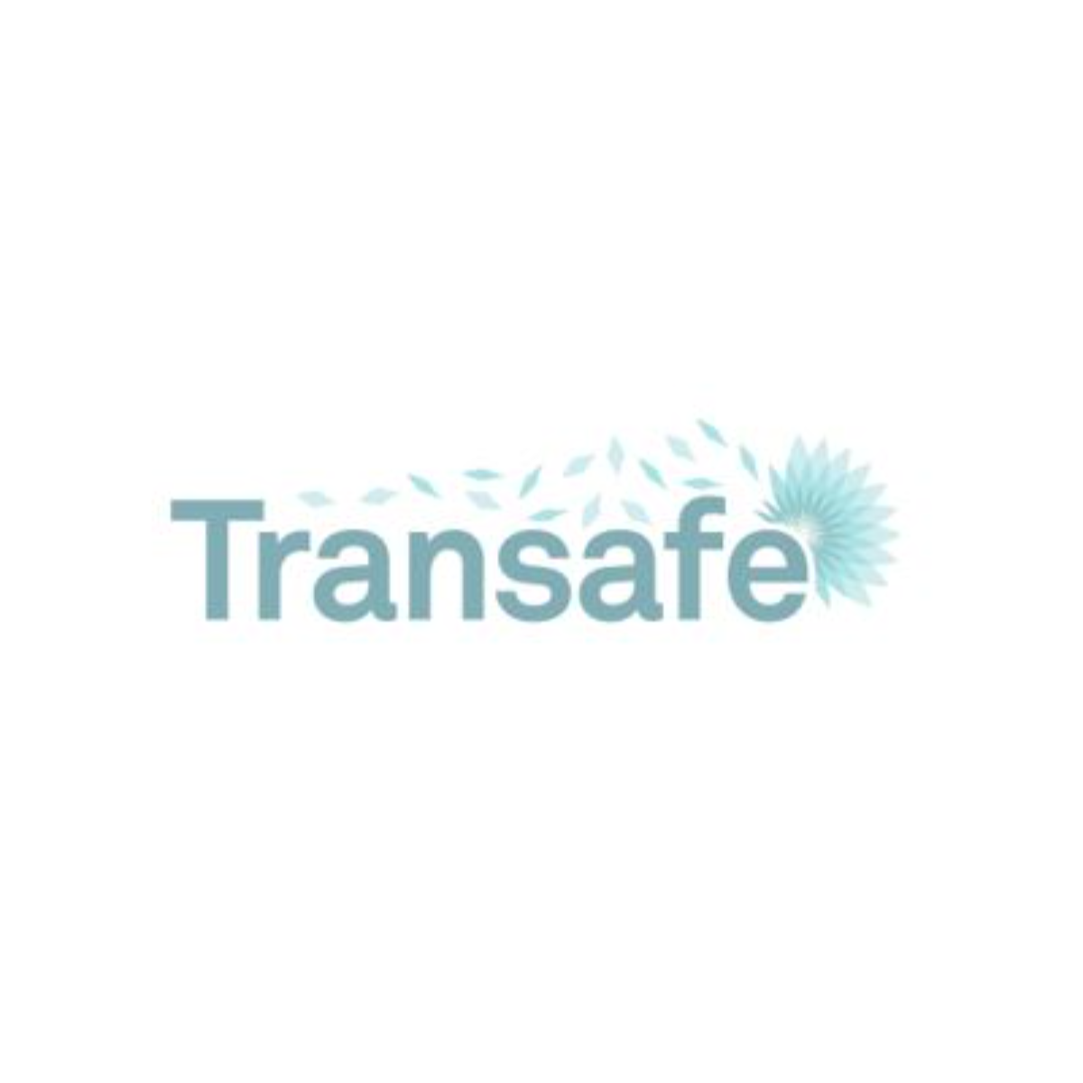 Transafe Logistics
