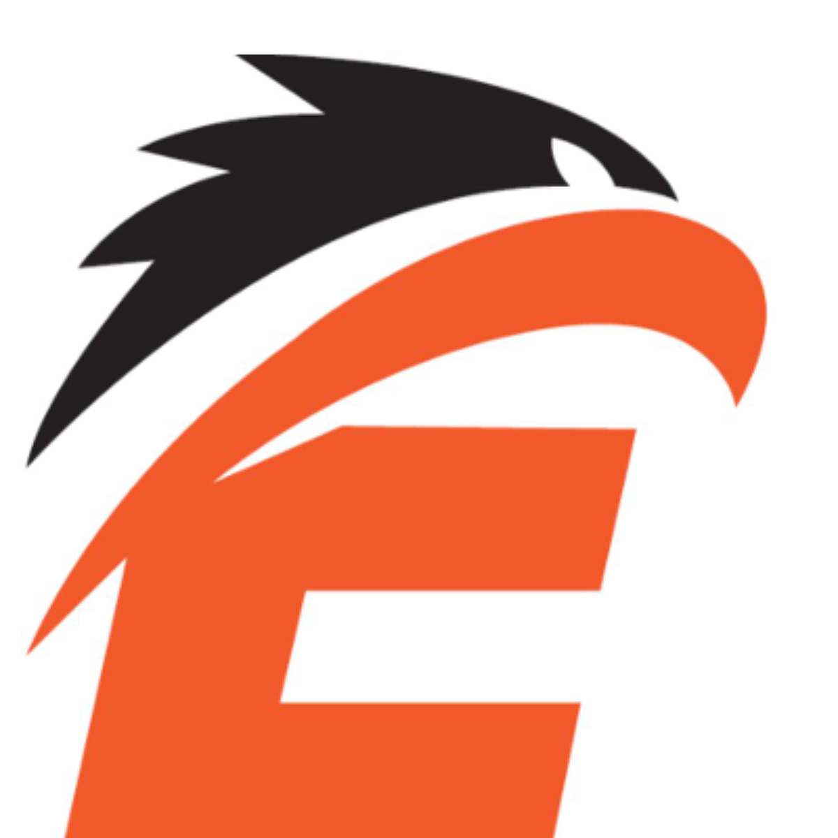Express Traffic Management and services