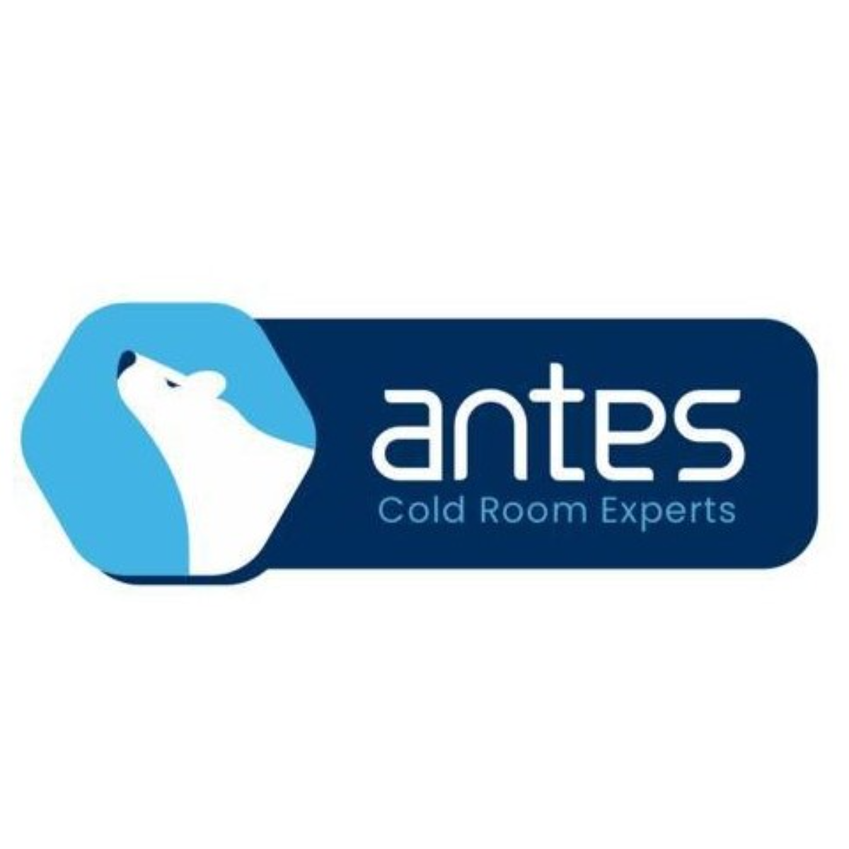 ANTES INTERNATIONAL W.L.L