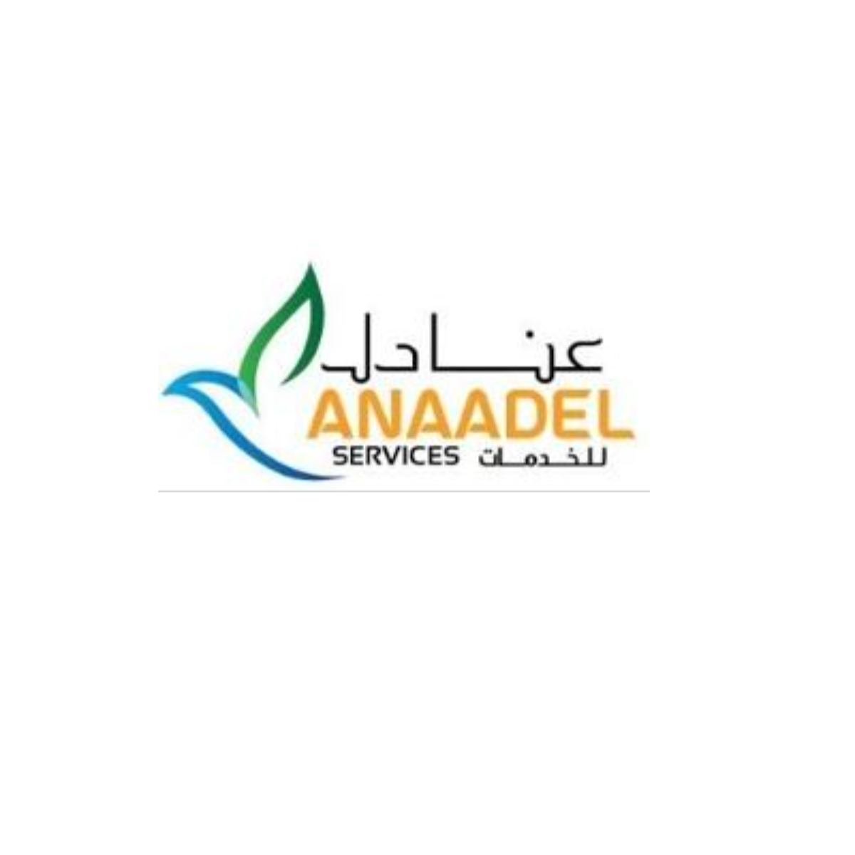 أنادل سيرفيسز