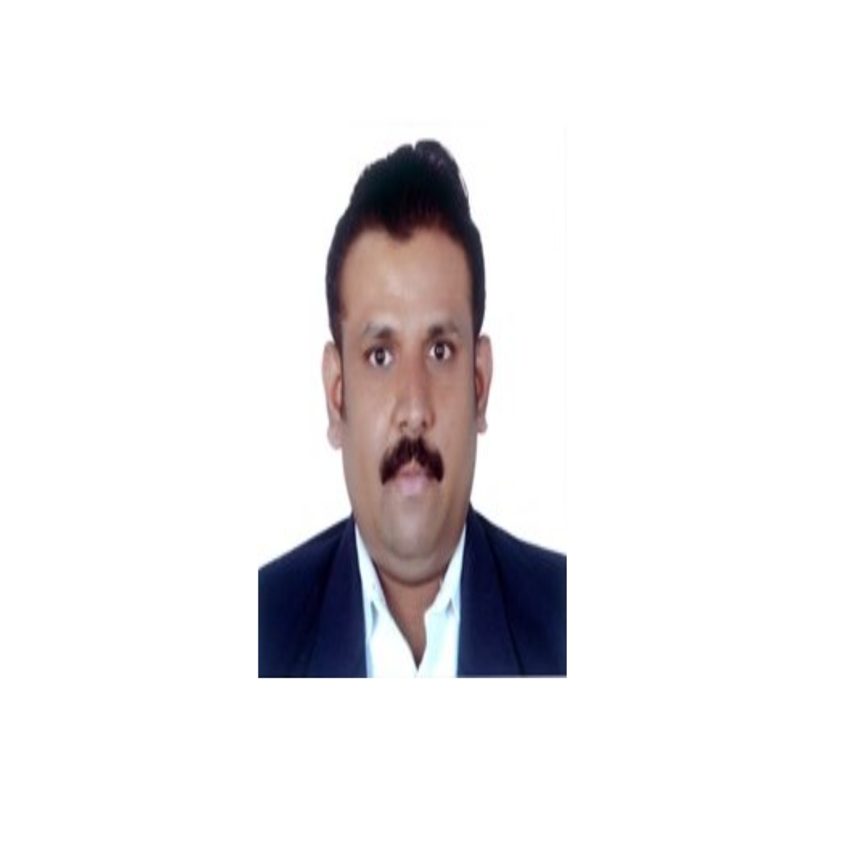 Karthik S - Freelancer Profile