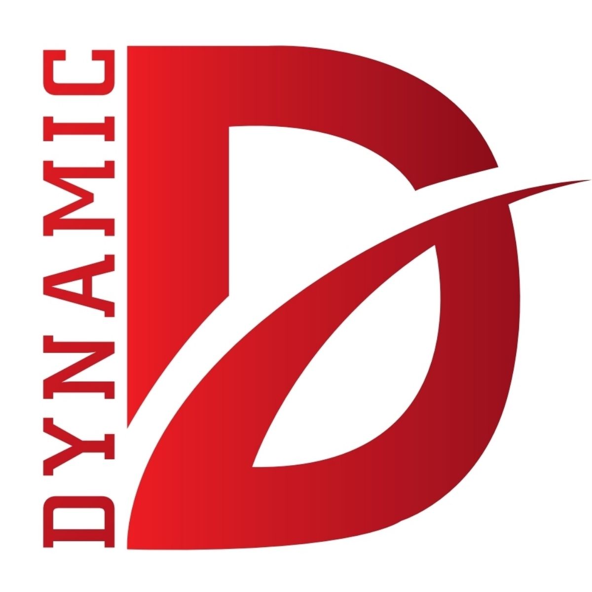 DYNAMIC EXPRESS SERVICES