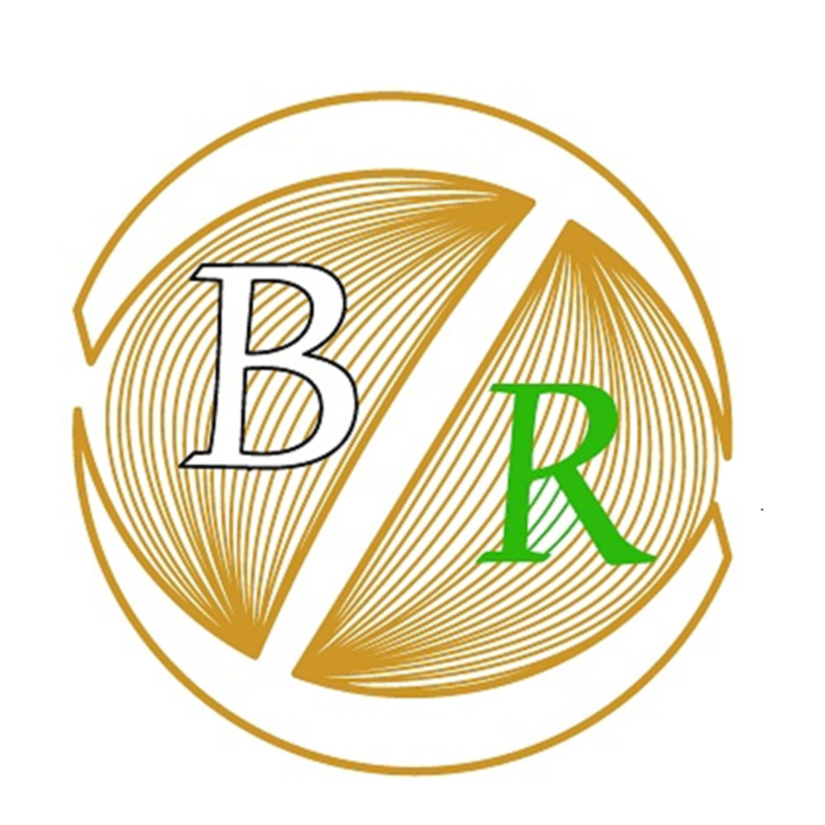 Bin Riaz Trading & Contracting