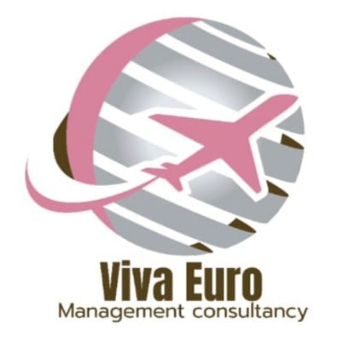 VIVA EURO MANAGEMENT CONSULTANCY